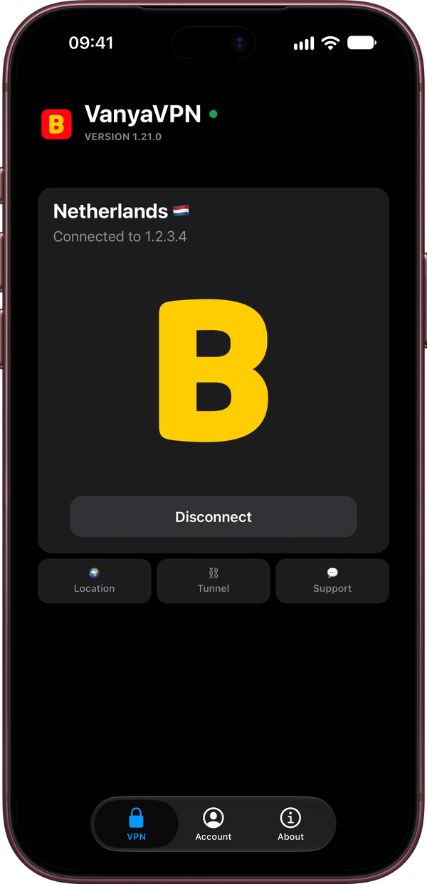 The VanyaVPN app on iPhone, connected to the Netherlands